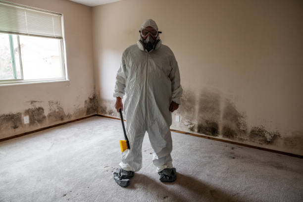 Best Bathroom Mold Remediation in Bremerton, WA